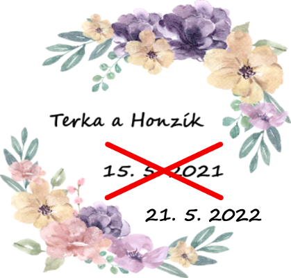 First Vector Graphic